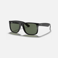 Ray-Ban Justin Classic - Black